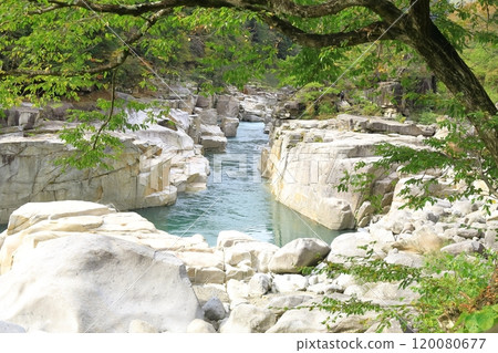 Bed of bed for sleep 120080677