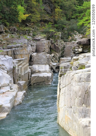 Bed of bed for sleep Bed of bed for sleep 120080699