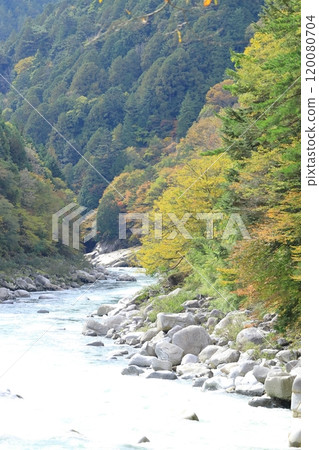 睡覺的床 睡覺的床 120080704