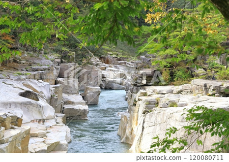 Bed of bed for sleep 120080711