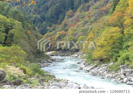 睡覺的床 120080713