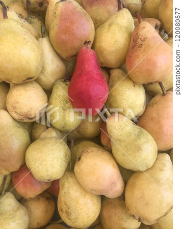 red ripe pear standing out from fruit background. red ripe pear standing out from fruit background. 120080877
