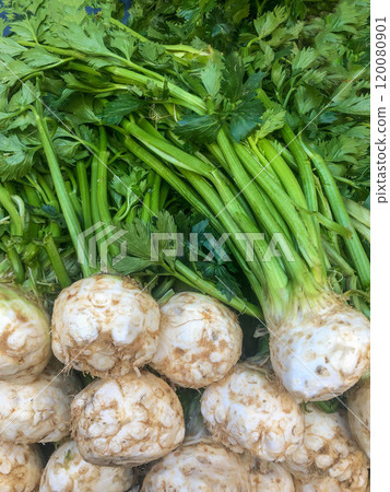 fresh celery root vegetables on the market fresh celery root vegetables on the market 120080901