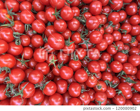 ripe fresh food background with red cherry tomatoes ripe fresh food background with red cherry tomatoes 120080902