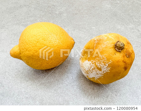 moldy rotten and fresh ripe lemons on table moldy rotten and fresh ripe lemons on table 120080954