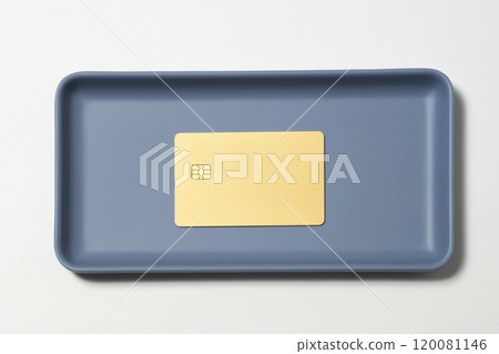 Image of credit card payment 120081146