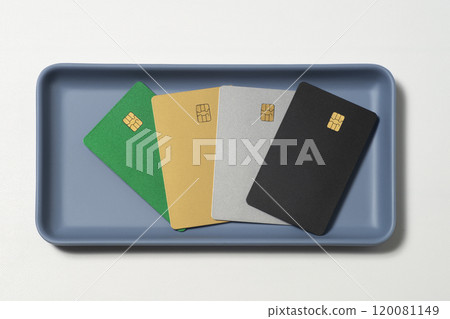 Payment by credit card of each grade 120081149