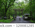 Torii temple shrine torii 120081285