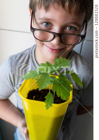 Boy holding potted oak sapling: promoting environmental awareness and conservation 120081528