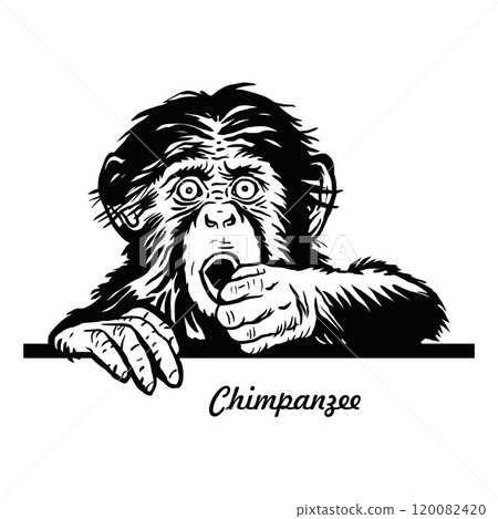 Peeking monkey - Comic Animal - Funny Animal - Wildlife Stencil - vector clipart stock 120082420