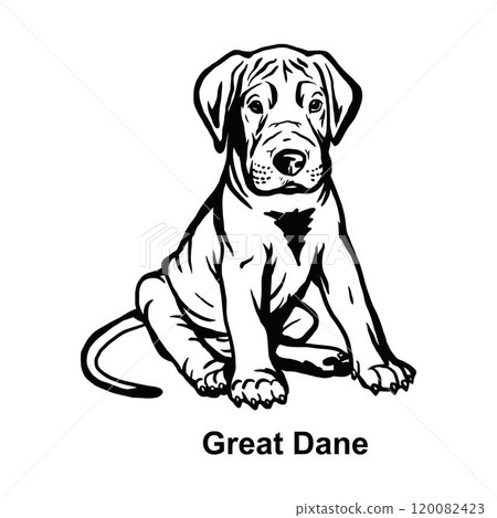 Puppy Great Dane - Dog Breed, Puppy Breed Vector File, detailed vector 120082423