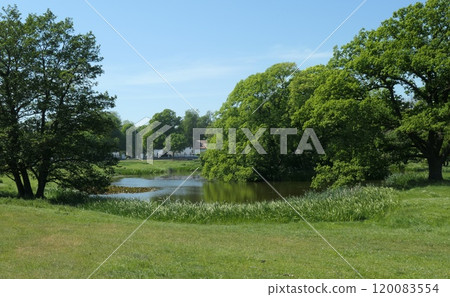 Pond at Ottenby Kungsgard on southern Oland, Sweden. 120083554
