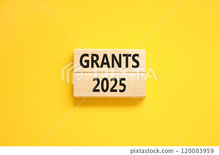 Planning grants 2025 new year symbol. Concept words Grants 2025 on beautiful wooden blocks. Beautiful yellow background. Business grants 2025 new year concept. Copy space. 120083959