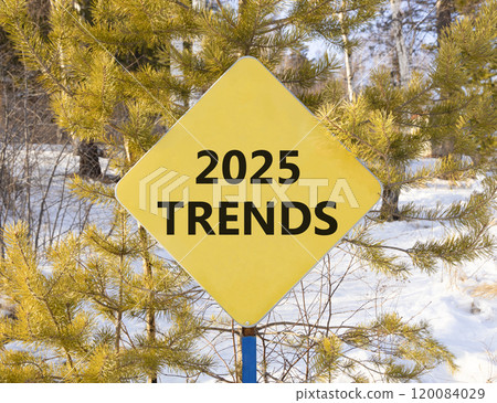 Planning 2025 trends new year symbol. Concept words 2025 Trends on beautiful yellow road sign. Beautiful winter forest background. Business 2025 trends new year concept. Copy space. 120084029