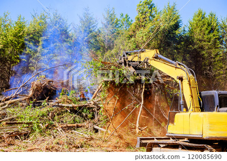 Trees are uprooted when preparing land for construction using an excavator by contractor 120085690