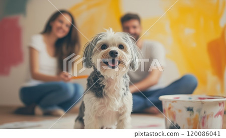 Adorable Dog Holds Brush While Couple Beautifies Walls In Their New Home. Cute Pet Assists Homeowners In Painting Their New House. 120086041