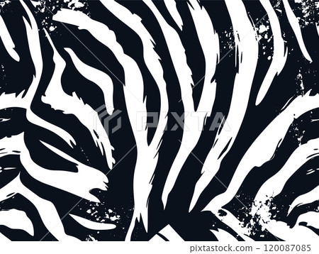 Zebra print pattern texture jungle vector background. Zebra skin pattern abstract wildlife design 120087085