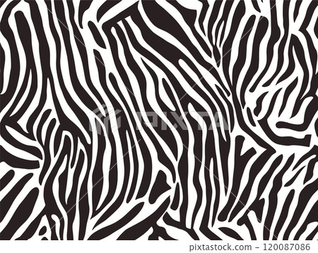 Zebra print pattern texture jungle vector background. Zebra skin pattern abstract wildlife design 120087086
