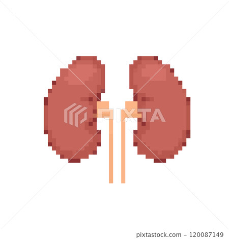 Pixel kidney icon simple medical design. Retro pixel organ human kidneys anatomy retro health icon. Pixel kidney icon simple medical design. Retro pixel organ human kidneys anatomy retro health icon. 120087149