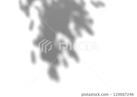 Tree branch shadow. Tree leaves shadow overlay. Summer sunlight trough the leaves. Nature organic shadow. Blurred Leaf shadow and light on wall background. 3d rendering 120087246