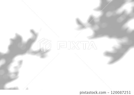 Tree branch shadow. Tree leaves shadow overlay. Summer sunlight trough the leaves. Nature organic shadow. Blurred Leaf shadow and light on wall background. 3d rendering 120087251