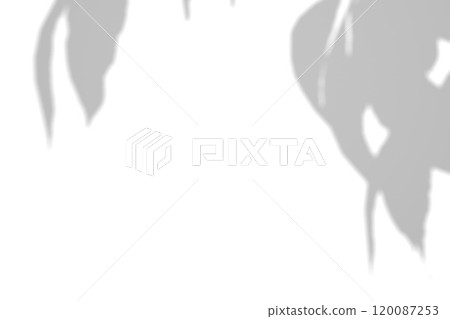 Tree branch shadow. Tree leaves shadow overlay. Summer sunlight trough the leaves. Nature organic shadow. Blurred Leaf shadow and light on wall background. 3d rendering Tree branch shadow. Tree leaves shadow overlay. Summer sunlight trough the leaves. Nature organic shadow. Blurred Leaf shadow and light on wall background. 3d rendering 120087253