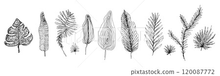 Botanical set of abstract freehand vector black ink hand drawn leaves, herbs and branches. Floral sketch one line leaf elements for pattern and tattoo design, greeting card decoration, logo, banner 120087772