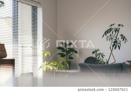 Fashionable room 120087921