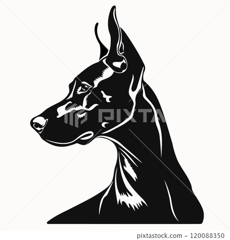 Silhouette Doberman dog isolated on background. Black and white pet portrait for design logo, print, icon 120088350