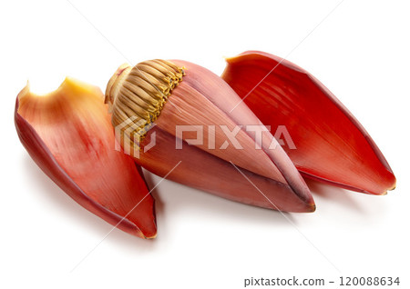 banana flower buds 120088634
