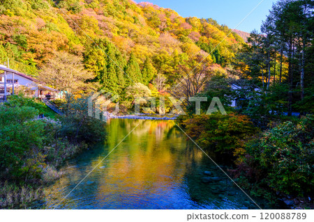 Autumn leaves at Hisogawa River Autumn leaves at Hisogawa River 120088789