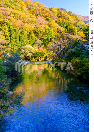 Autumn Hiso River (vertical) 120088790