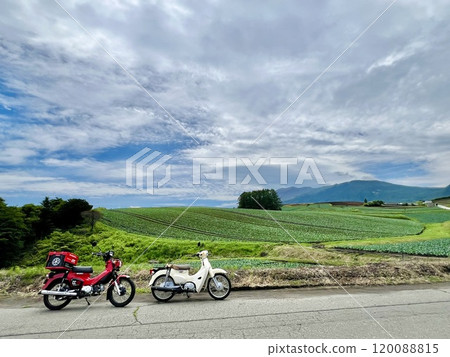 摩托車旅行中看到嬬戀村的落葉松山和高麗菜田 摩托車旅行中看到嬬戀村的落葉松山和高麗菜田 120088815