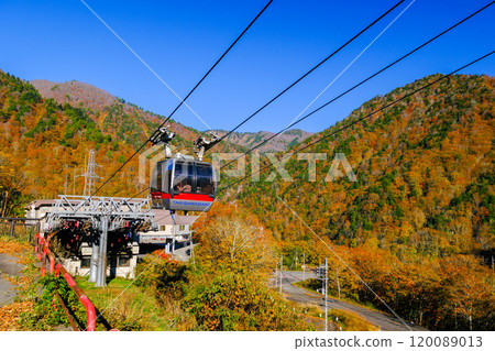 Tanigawadake Ropeway base station in autumn Tanigawadake Ropeway base station in autumn 120089013