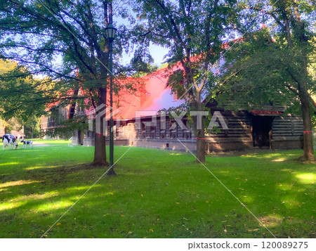 北海道大學第二農場牛棚 2024 年 9 月 120089275