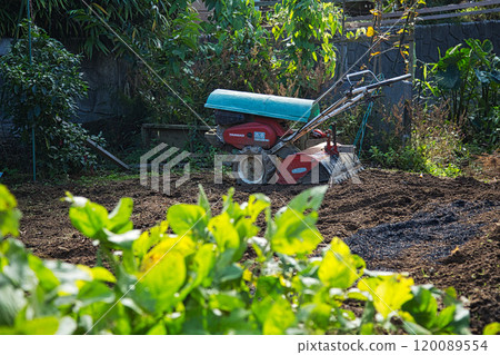 Home garden Home garden 120089554