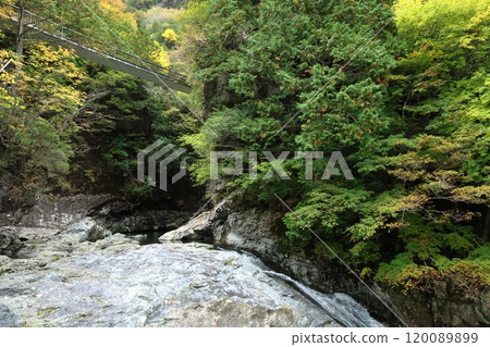 [Tenkawa Village, Nara Prefecture] Mitarai Valley Walking Course 120089899