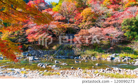 Korankei (Autumn) Korankei (Autumn) 120090273
