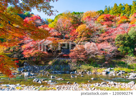 香蘭溪（秋季） 120090274