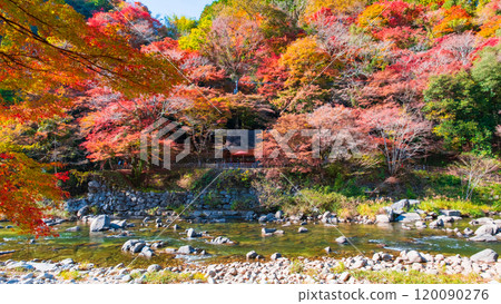 香蘭溪（秋季） 120090276