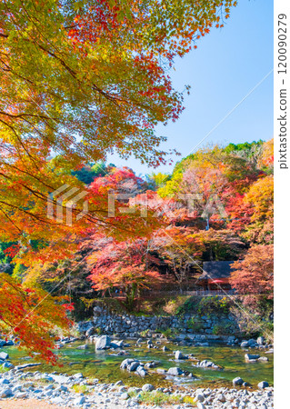 香蘭溪（秋季） 120090279