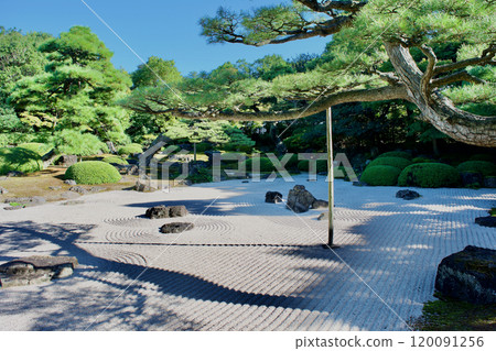 有鬆樹和沙波紋的日本花園 120091256