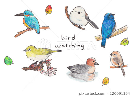 Wild bird illustration 120091394