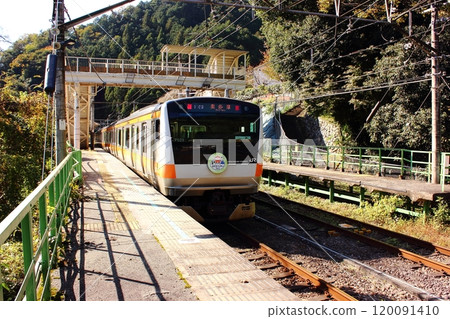 沐浴在燦爛陽光下的青梅線鳩之巢站出發的奧多摩號列車（2） 120091410