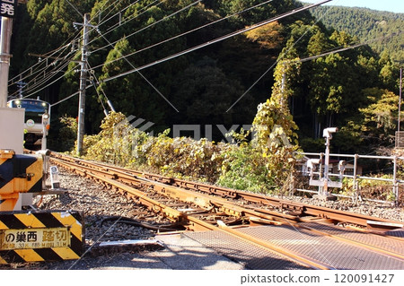 進入青梅線鳩之巢站的青梅方向列車(1) 120091427