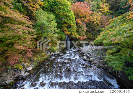 Autumn at Nakano Momijiyama: A spectacular view from Fudobashi Bridge, Kuroishi City, Aomori Prefecture 120091495