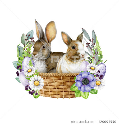Cute bunny couple in a woven basket with floral decor on white background. Hand drawn vintage style watercolor illustration. Ideal for Easter themes, holiday cards, seasonal festive decor Cute bunny couple in a woven basket with floral decor on white background. Hand drawn vintage style watercolor illustration. Ideal for Easter themes, holiday cards, seasonal festive decor 120091550