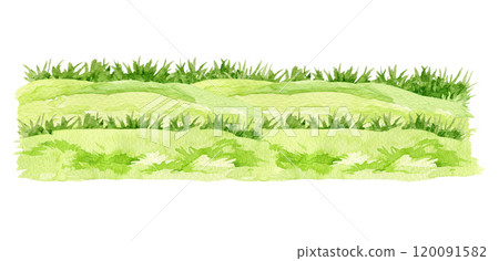 Green grass landscape element hand drawn watercolor illustration. Lush green grass landscape, meadow, park, farm, garden element. Fresh herbs and natural plants floral element Green grass landscape element hand drawn watercolor illustration. Lush green grass landscape, meadow, park, farm, garden element. Fresh herbs and natural plants floral element 120091582