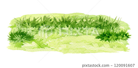 Green grass background watercolor illustration. Lush grass close up countryside landscape, meadow, field, lawn element. Fresh herbs and natural plants floral illustration on white background 120091607
