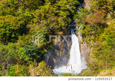 [靜岡縣] Oxys/梅之島地區的積水瀑布與彩虹 120091617